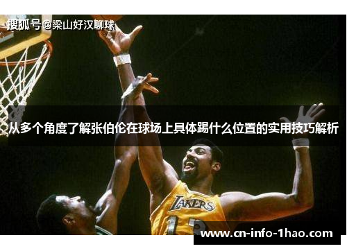 从多个角度了解张伯伦在球场上具体踢什么位置的实用技巧解析