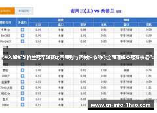 深入解析英格兰冠军联赛比赛规则与赛制细节助你全面理解英冠赛事运作