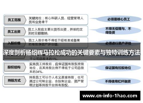 深度剖析杨绍辉马拉松成功的关键要素与独特训练方法