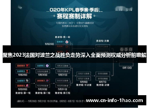 聚焦2023法国对波兰之战胜负走势深入全面预测权威分析前瞻解