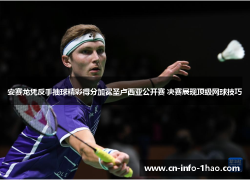 安赛龙凭反手抽球精彩得分加冕圣卢西亚公开赛 决赛展现顶级网球技巧