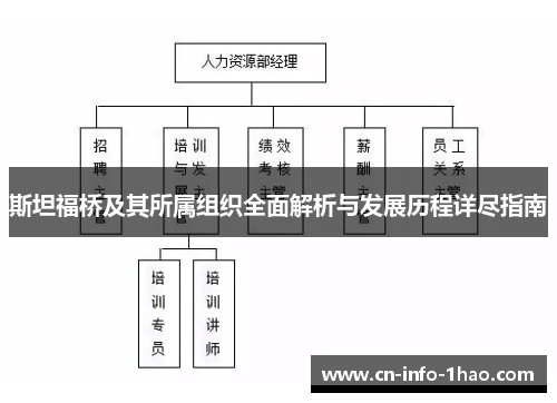 斯坦福桥及其所属组织全面解析与发展历程详尽指南