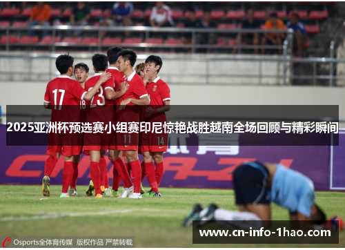 2025亚洲杯预选赛小组赛印尼惊艳战胜越南全场回顾与精彩瞬间